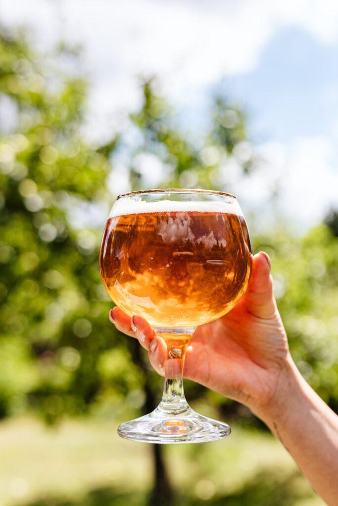 Person holding glass of beer