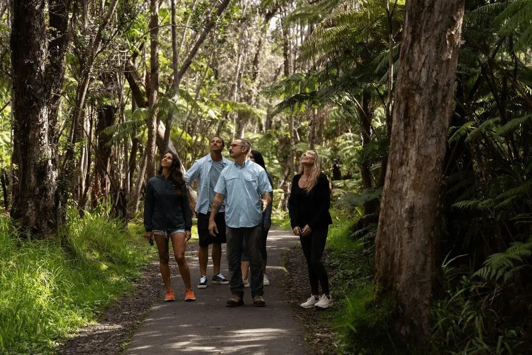 Wild and Scenic Hawaii: Waterfalls and Wonders